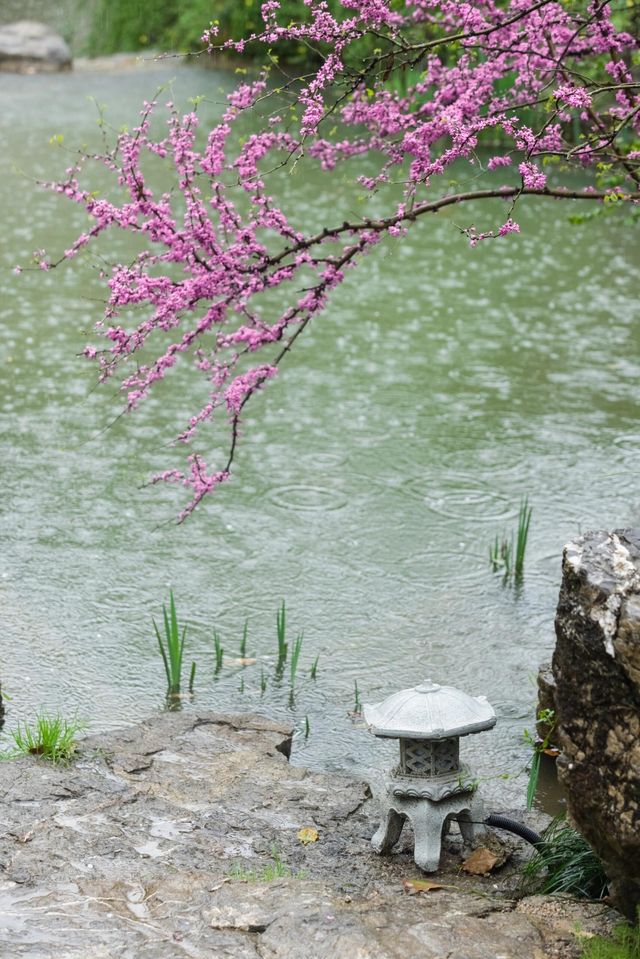 天去葛仙村，能勸一個是一個……