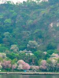 接下來的柳州，是一萬次的春和景明