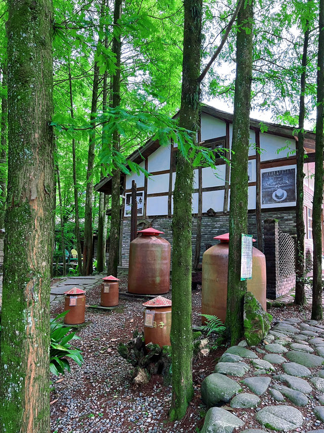 誤打誤撞，在神仙居住的地方呆了兩天！