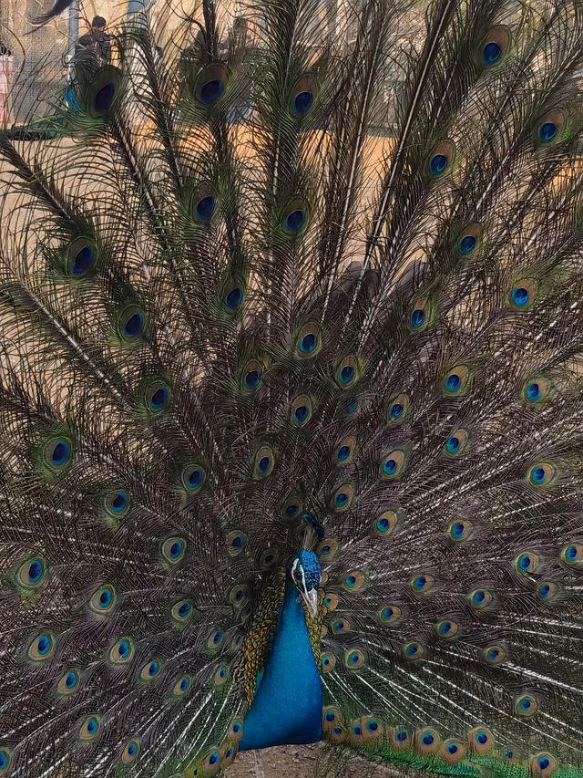 濟南週六週日親子旅遊好去處