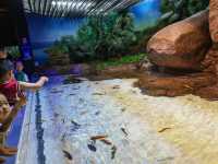 上海海洋水族館