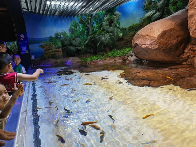 上海海洋水族館