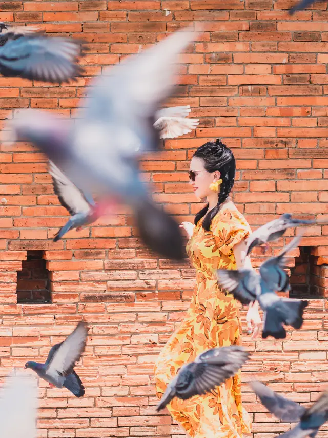 Thailand Travel | Chiang Mai Must-Visit: Tha Phae Gate Pigeons