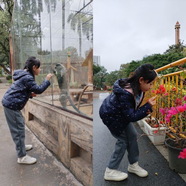 自我療癒，去南寧動物園泡上一天吧