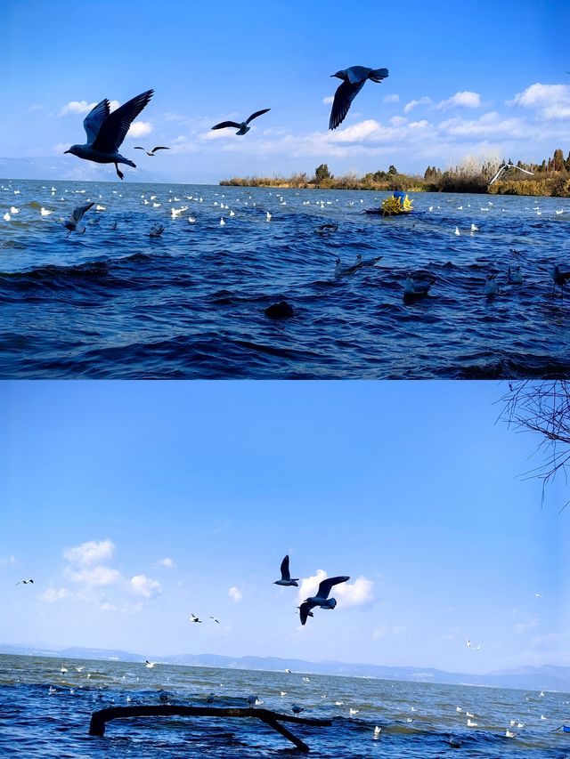 人少景美的撈魚河濕地公園