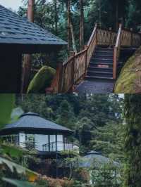 在樹屋裡發呆看雲海！樂山這家神仙民宿太絕