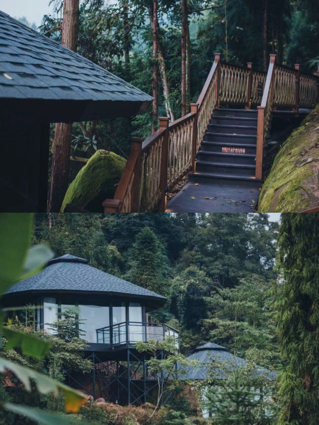 在樹屋裡發呆看雲海！樂山這家神仙民宿太絕