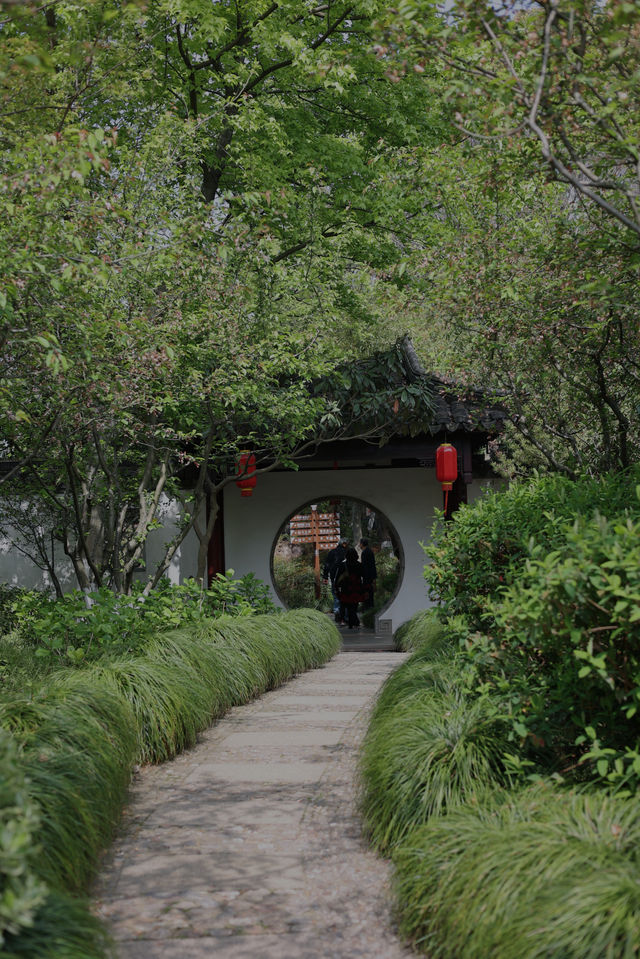 芳菲四月的曾趙園 芳菲四月的曾趙園