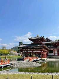 OMG 😍 Byodo-in Omotesando in Japan🇯🇵