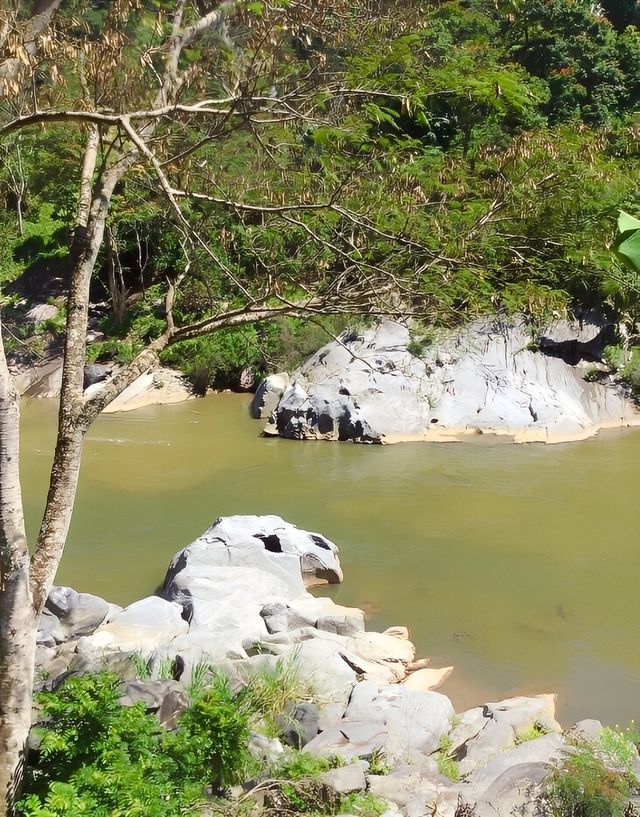 達西貝國家森林保護區——探秘全地球最神秘的島嶼森林！