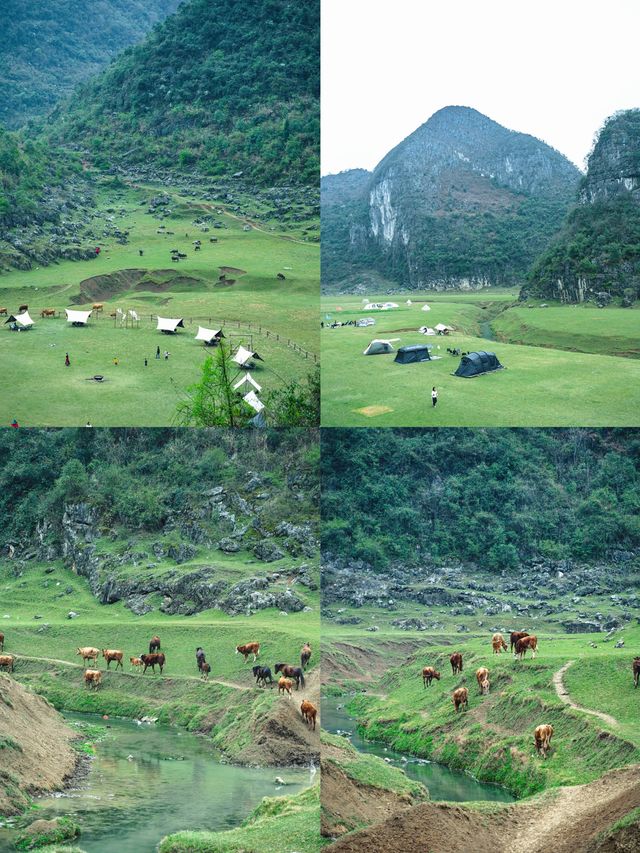 都說這像新疆,其實去貴州 都說這像新疆,其實去貴州