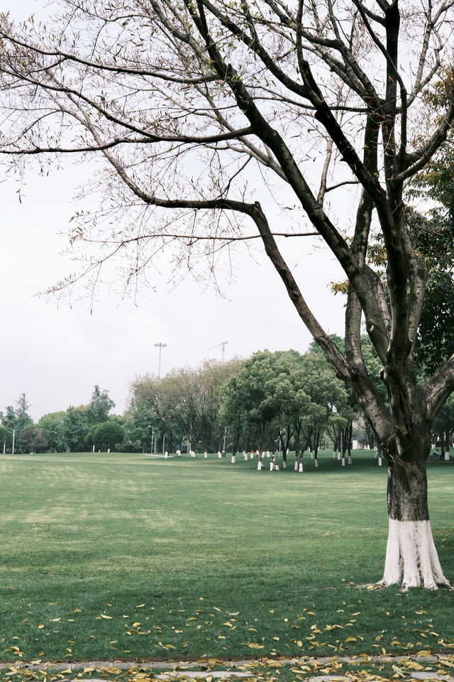 五一逛公園