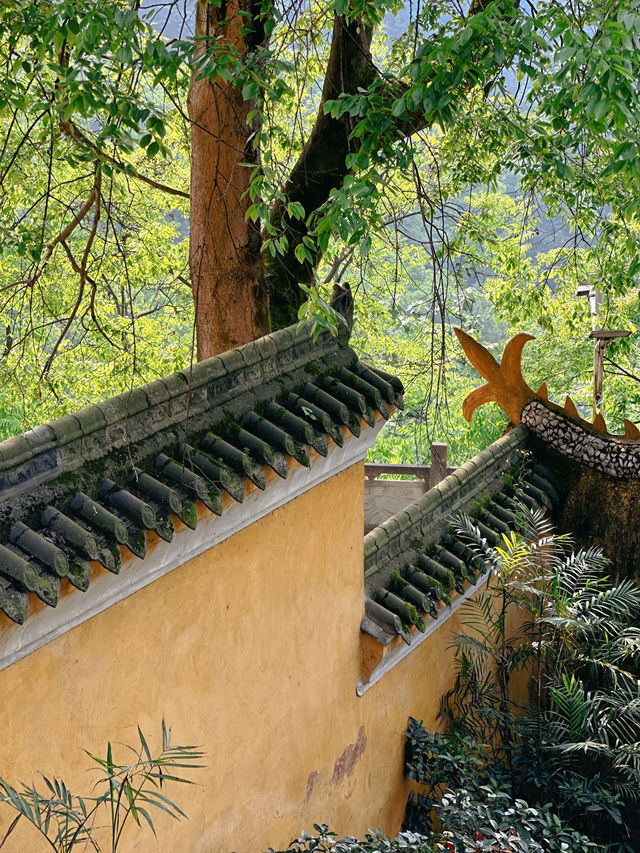 除了老君洞，重慶南山還有一座現存蕞久的千年古剎