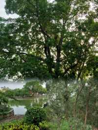 徐聞人民公園最全攻略