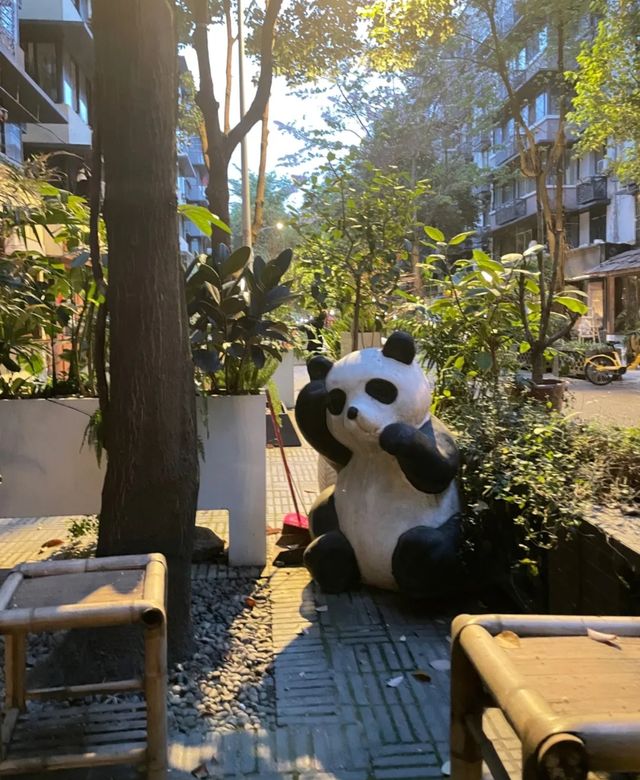 漫步成都泡桐樹街｜感受文藝與歷史的交織