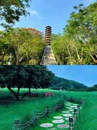 闖進宮崎駿的夏天深圳紅花山公園