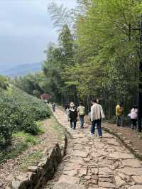 讓身心放個假，江浙滬佛系度假民宿推薦