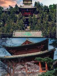 永濟普救寺|鶯鶯塔“普救蟾聲”世界奇塔