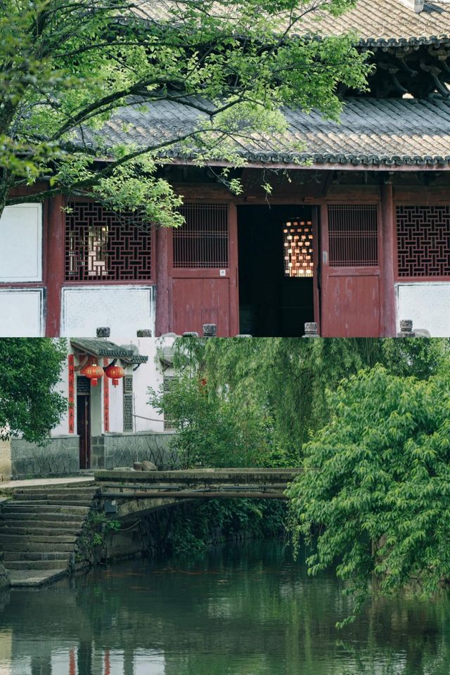 春風輕拂，尋覓武義秘境——一日踏青新篇章