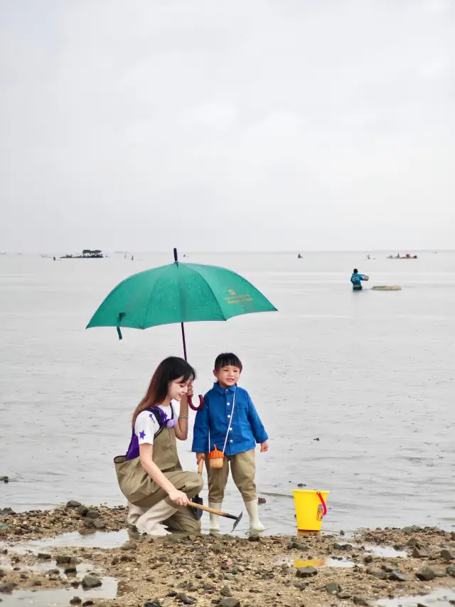 北海親子遊三天兩夜，跟漁民一起體驗趕海樂趣