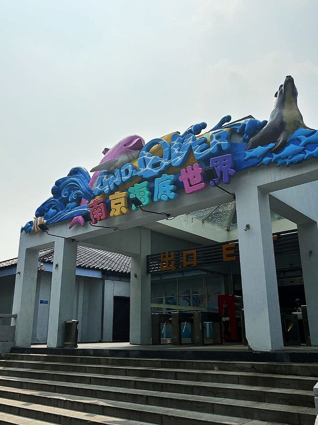 南京旅遊攻略，沉入藍色的海底世界