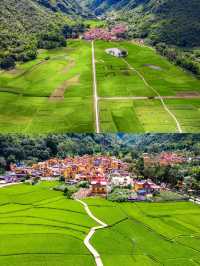 雲南夏日遊，芒見，再忙也要相見