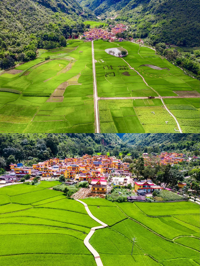 雲南夏日遊，芒見，再忙也要相見