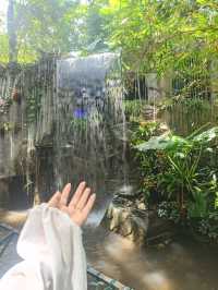 深圳探秘 | 有丁达尔效应的热带雨林