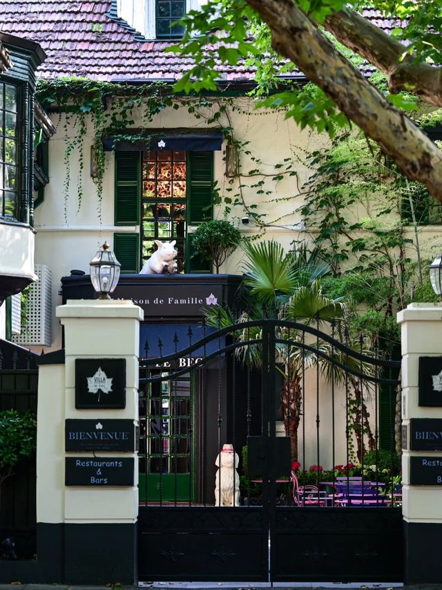 很難對這個季節的新华路說愛你 很難對這個季節的新华路說愛你