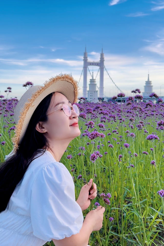 舟山旅行，這個地方也太驚喜了！！！
