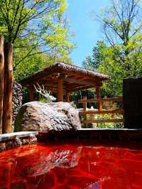 🌿🏔️ Changbai Mountain's Hot Spring Haven 🌊🍃