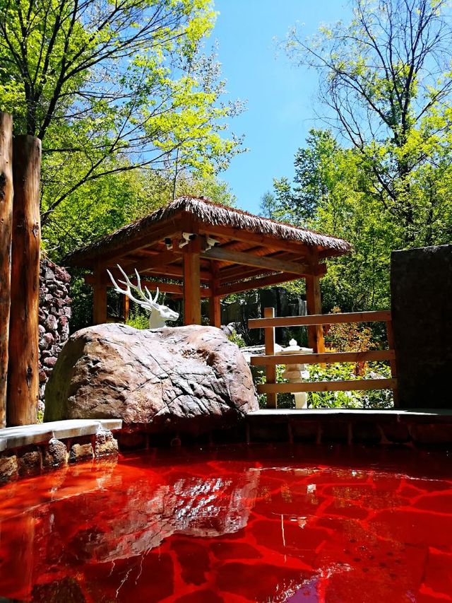 🌿🏔️ Changbai Mountain's Hot Spring Haven 🌊🍃