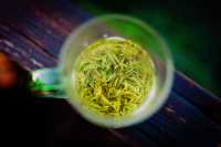體驗採茶，吹著小風喝喝茶太愜意了