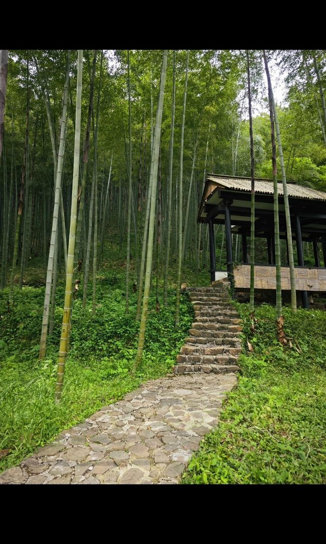 酷暑難當的夏天，想要來個夏日清涼避暑遊？