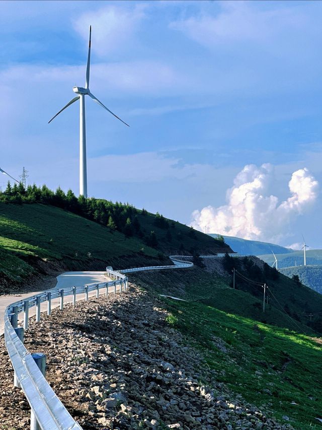 【逃離喧囂，邂逅雲端秘境】蔚縣茶山，我的靈魂棲息