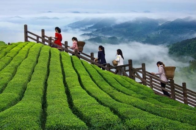 北緯30度的曠世的仙境，離重慶近在咫尺
