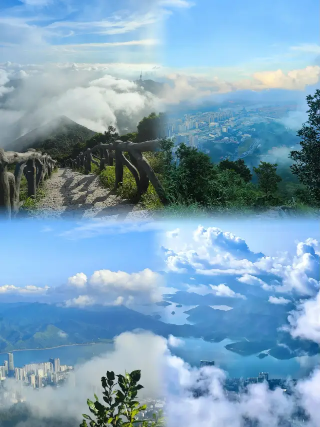 Shenzhen's 'Back Garden'｜Just climb, and leave the rest to the scenery