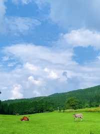 重慶居然有這麼涼爽的地方