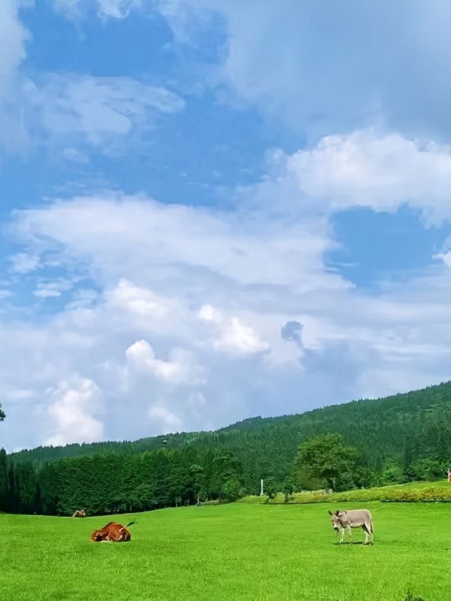 重慶居然有這麼涼爽的地方