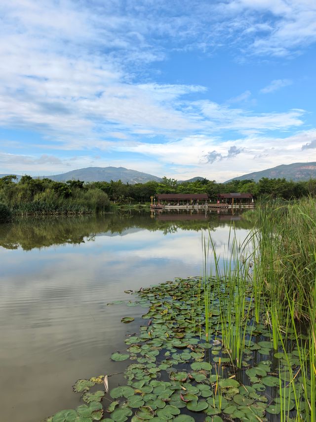 開遠鳳凰濕地公園