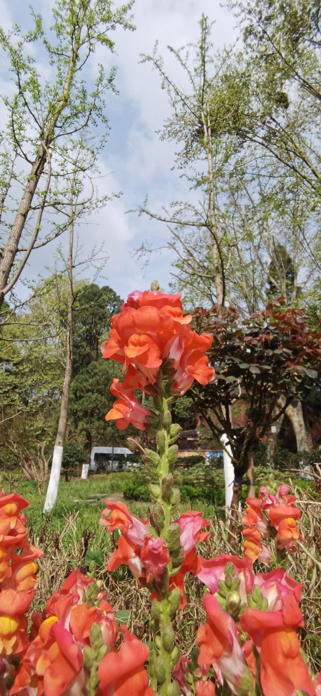 十里河灘