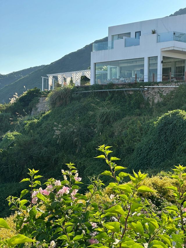 不出國門，邂逅浙江秘境！嵊泗花鳥島，美哭我的小眾天