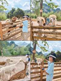 重慶周邊1h避暑|去西湖旁的動物莊園遛娃