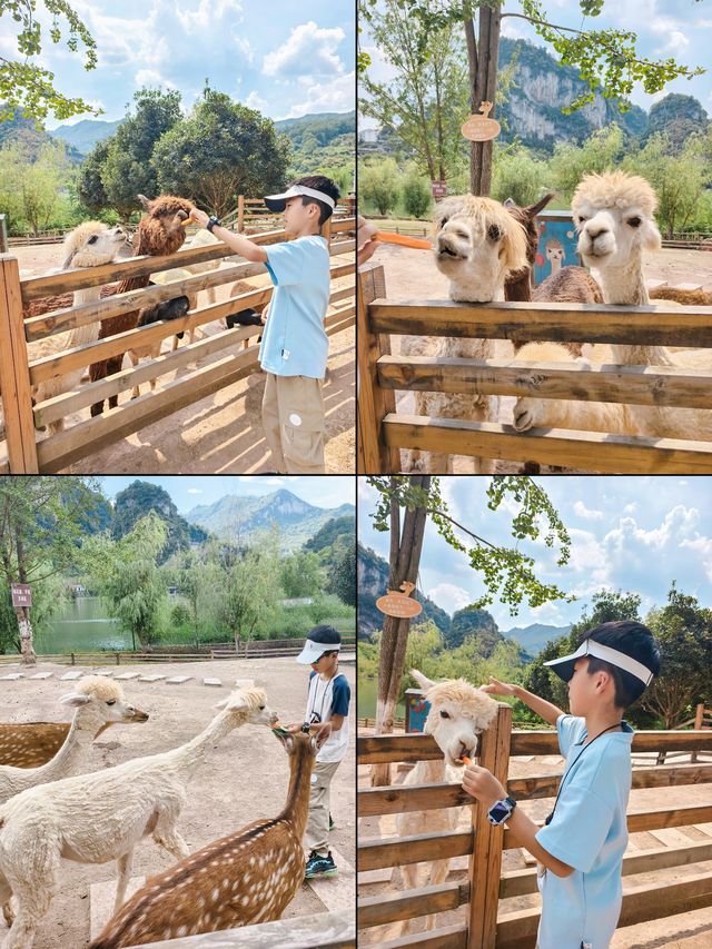 重慶周邊1h避暑|去西湖旁的動物莊園遛娃
