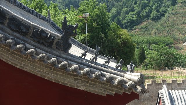 據說古時有五千僧侣，而今竟無人問津。