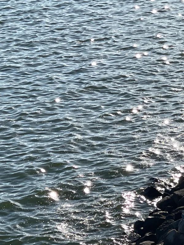 深圳夏日浪漫🎡摩天輪吹海風、看日落