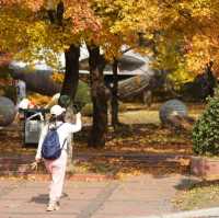 Beautiful Autumn scenery in Shenyang 