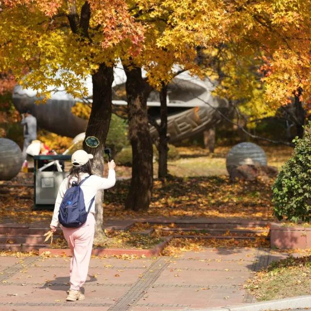 Beautiful Autumn scenery in Shenyang 