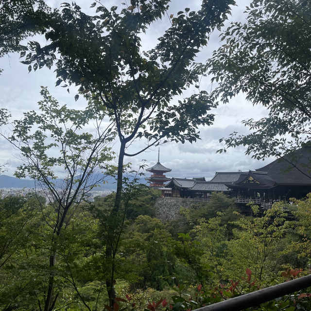 🍁가을여행 교토 여행 필수코스 산넨자카, 니넨자카, 청수사 