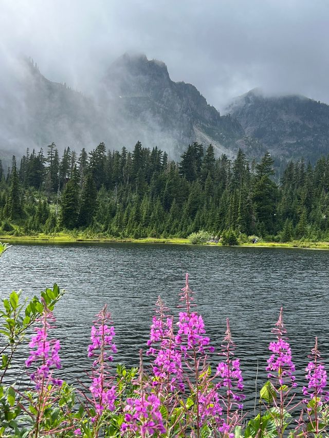 雷尼爾山，夢中情山。